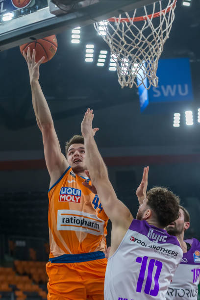 的重要一员 的重要一员